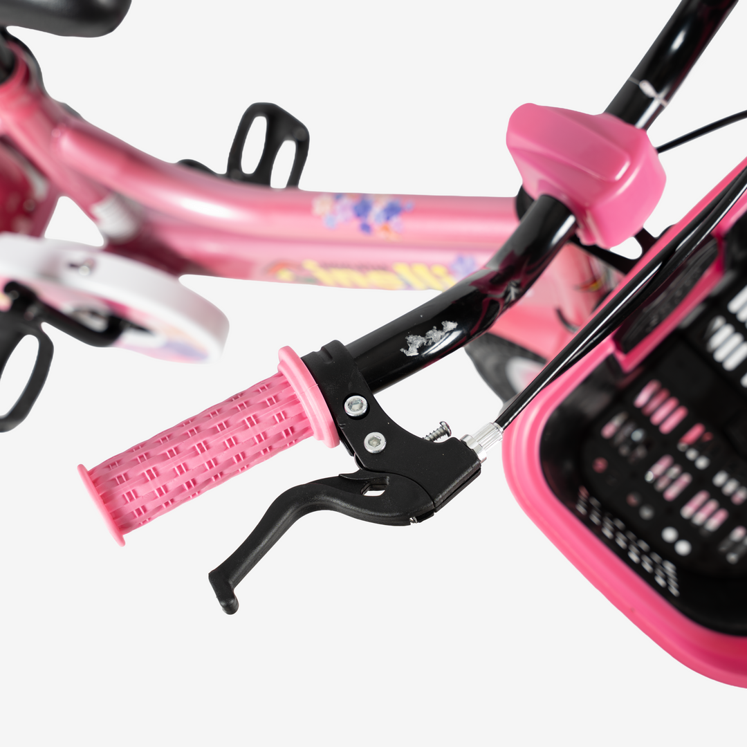 Bicicleta con Canasta | R-12