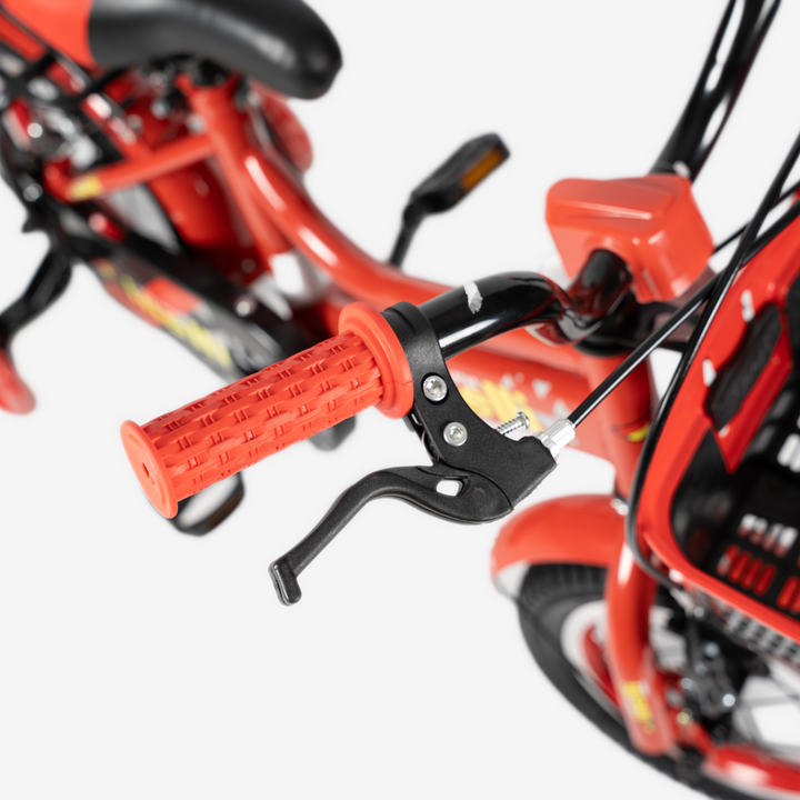 Bicicleta con Canasta | R-12