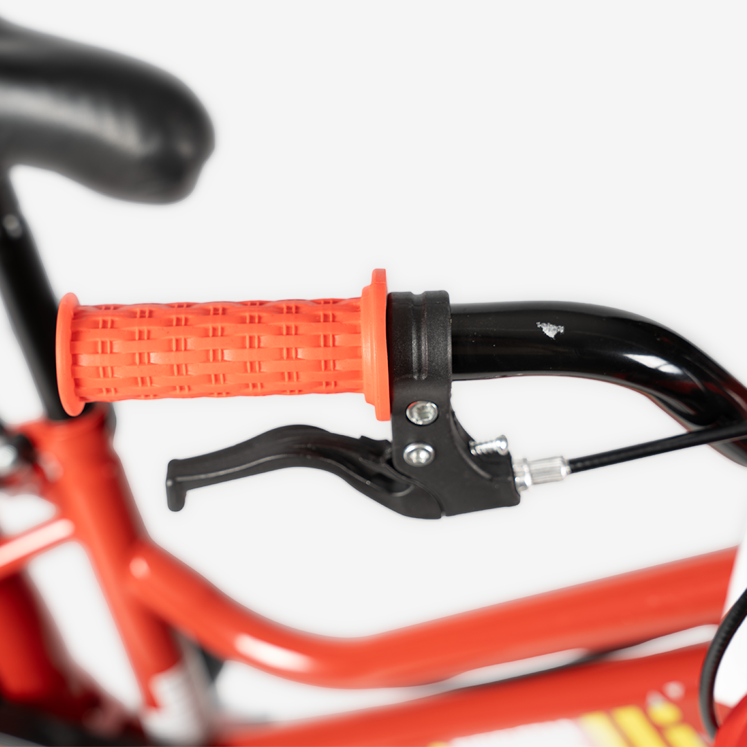 Bicicleta con Canasta | R-16