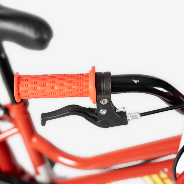 Bicicleta con Canasta | R-16