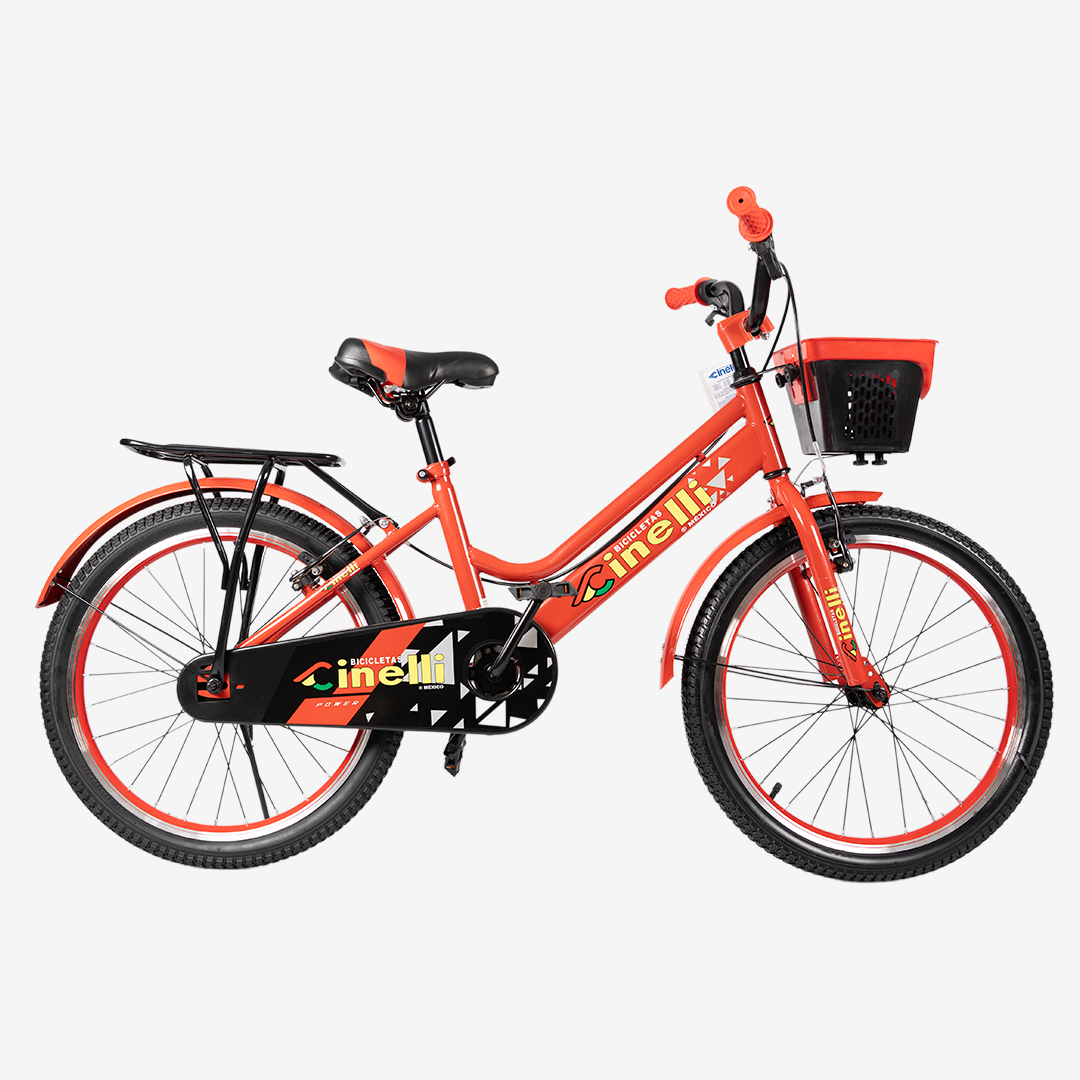 Bicicleta con Canasta | R-20