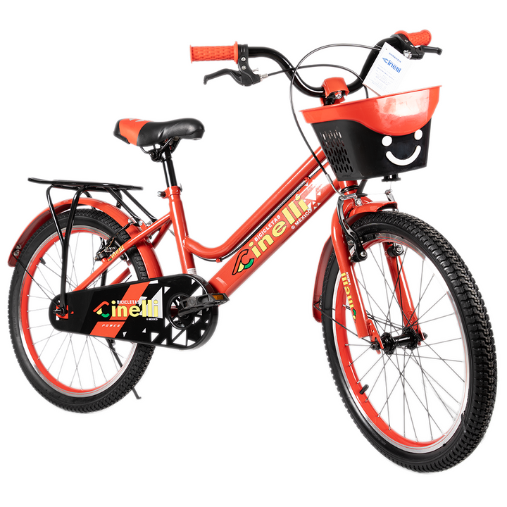 Bicicleta con Canasta | R-20