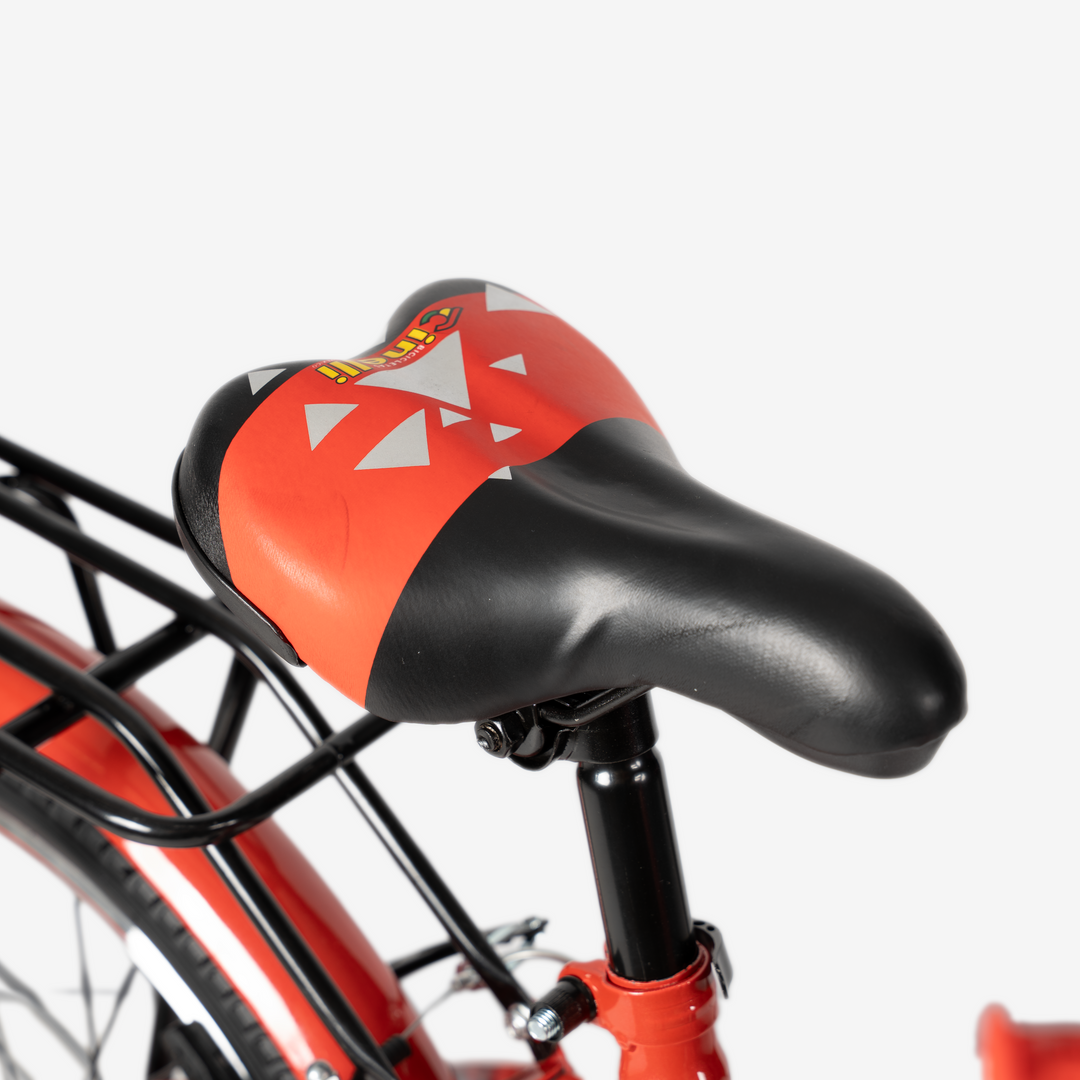 Bicicleta con Canasta | R-20