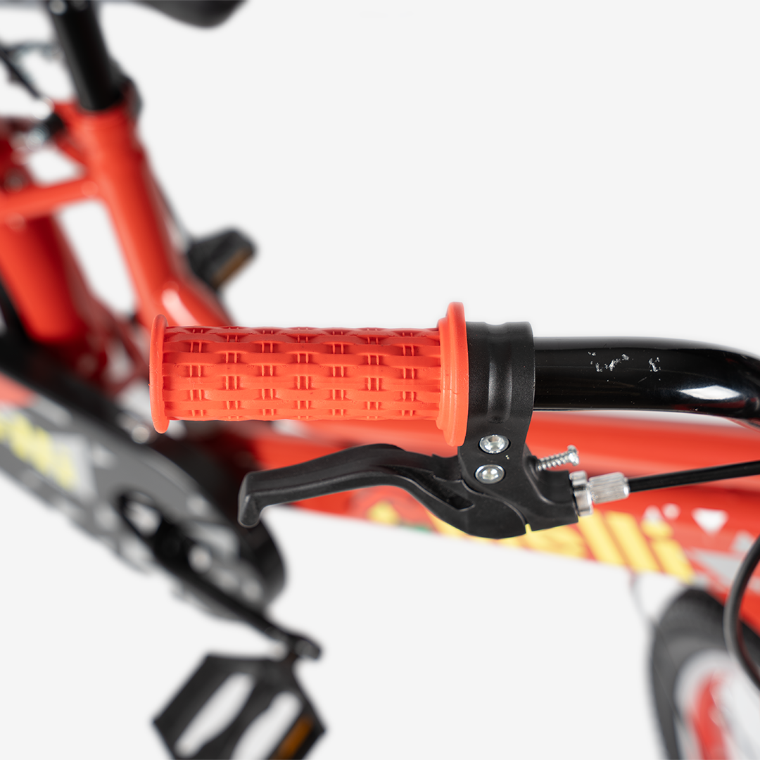 Bicicleta con Canasta | R-20