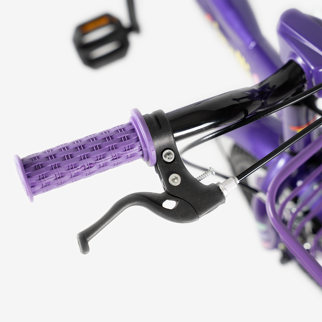 Bicicleta con Canasta | R-12