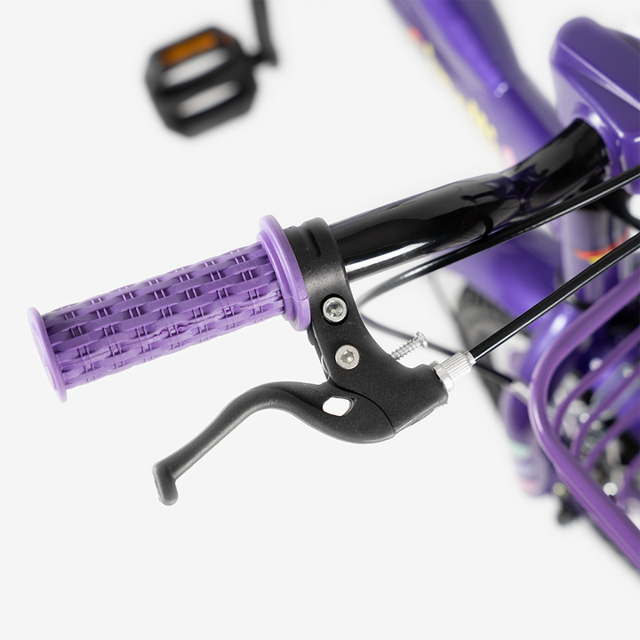 Bicicleta con Canasta | R-12