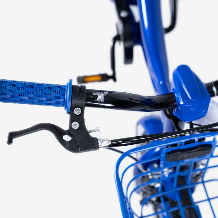 Bicicleta con Canasta | R-12