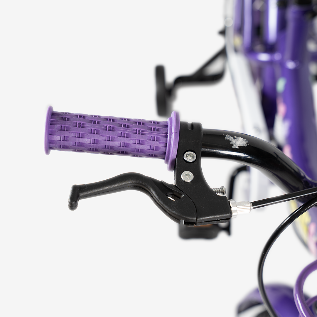 Bicicleta con Canasta | R-16