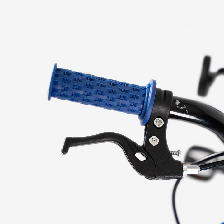 Bicicleta con Canasta | R-16